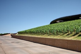 Professionelle Architekturfotografie und Unternehmensfotografie 