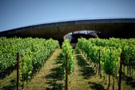 Professionelle Architekturfotografie und Unternehmensfotografie 