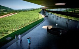 Erich Sinzinger Architekturfotografie Linz Wien Salzburg