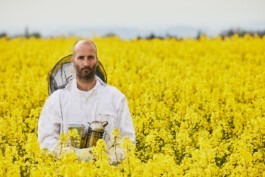 Erich Sinzinger Architekturfotografie Linz Wien Salzburg