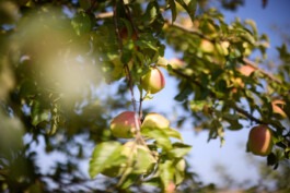Erich Sinzinger Architekturfotografie Linz Wien Salzburg