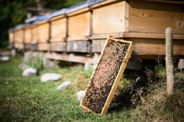 Erich Sinzinger Architekturfotografie Linz Wien Salzburg