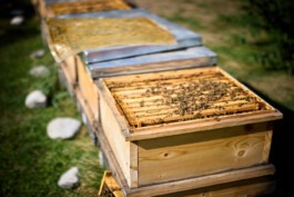 Erich Sinzinger Architekturfotografie Linz Wien Salzburg