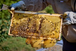 Erich Sinzinger Architekturfotografie Linz Wien Salzburg