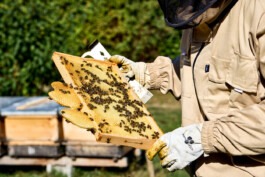 Erich Sinzinger Architekturfotografie Linz Wien Salzburg