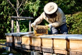 Erich Sinzinger Architekturfotografie Linz Wien Salzburg